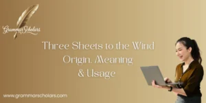 Three Sheets to the Wind: Origin, Meaning & Usage